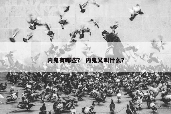 内鬼有哪些？ 内鬼又叫什么？