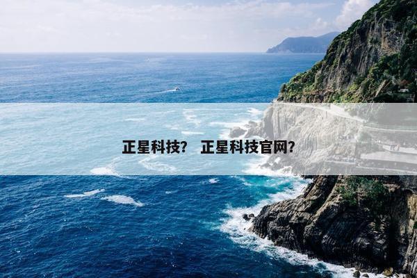 正星科技？ 正星科技官网？