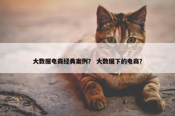大数据电商经典案例？ 大数据下的电商？