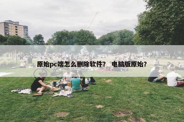 原始pc端怎么删除软件？ 电脑版原始？