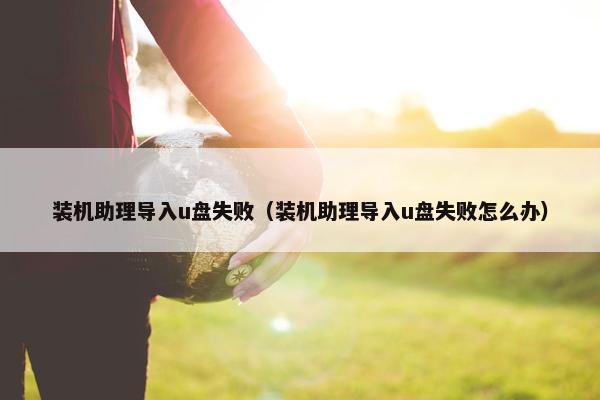 装机助理导入u盘失败（装机助理导入u盘失败怎么办）