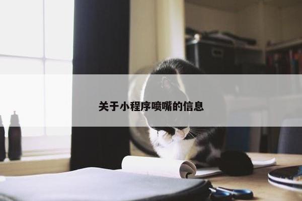 关于小程序喷嘴的信息