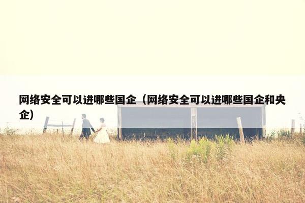 网络安全可以进哪些国企（网络安全可以进哪些国企和央企）