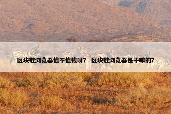 区块链浏览器值不值钱呀？ 区块链浏览器是干嘛的？