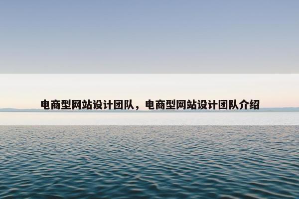电商型网站设计团队，电商型网站设计团队介绍