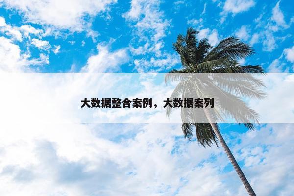 大数据整合案例，大数据案列