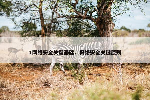 1网络安全关键基础,网络安全关键原则 1网络安全关键基础,网络安全关键原则