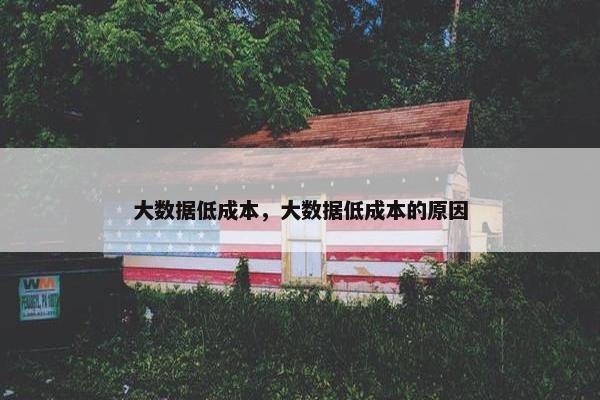 大数据低成本，大数据低成本的原因