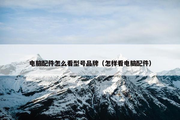 电脑配件怎么看型号品牌（怎样看电脑配件）