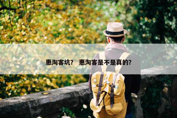 惠淘客坑？ 惠淘客是不是真的？