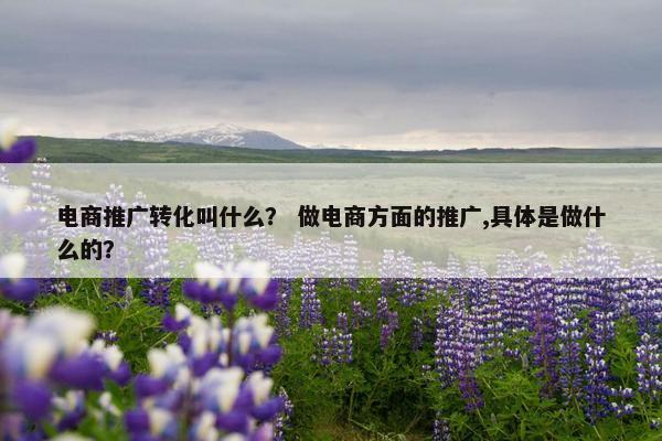 电商推广转化叫什么？ 做电商方面的推广,具体是做什么的？
