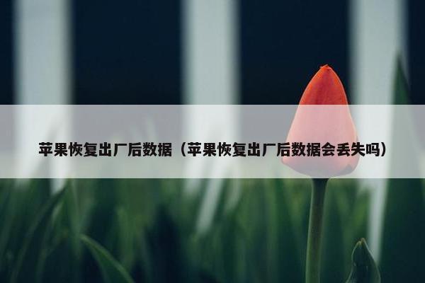 苹果恢复出厂后数据（苹果恢复出厂后数据会丢失吗）