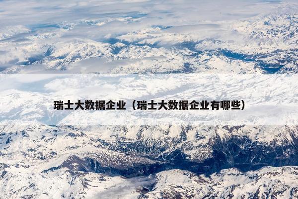 瑞士大数据企业（瑞士大数据企业有哪些）