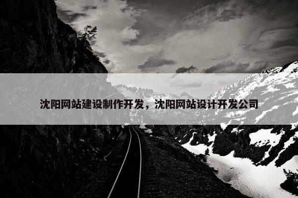 沈阳网站建设制作开发，沈阳网站设计开发公司