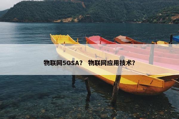 物联网5GSA？ 物联网应用技术？