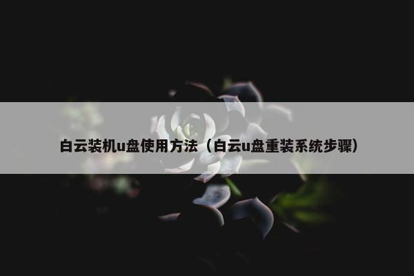 白云装机u盘使用方法（白云u盘重装系统步骤）