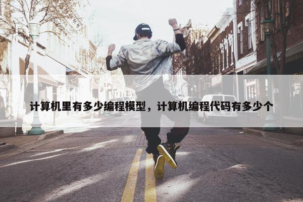 计算机里有多少编程模型，计算机编程代码有多少个