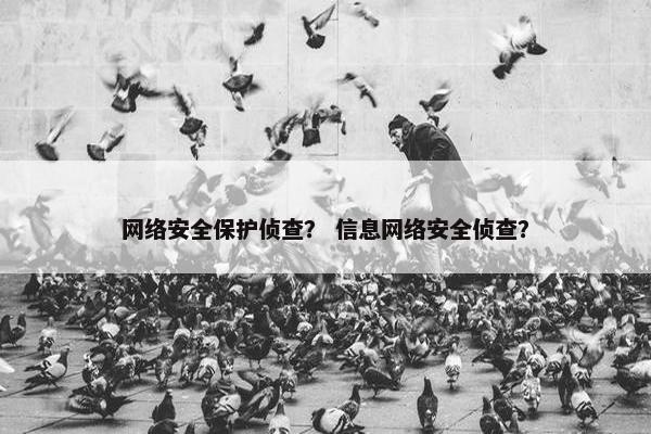 网络安全保护侦查？ 信息网络安全侦查？