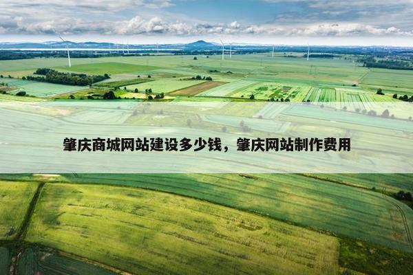 肇庆商城网站建设多少钱，肇庆网站制作费用