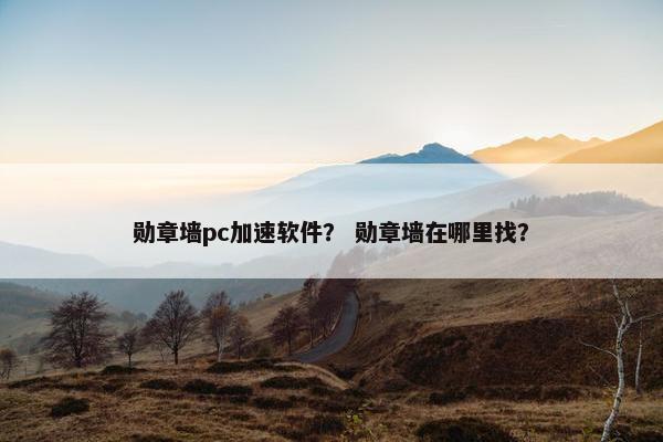 勋章墙pc加速软件？ 勋章墙在哪里找？