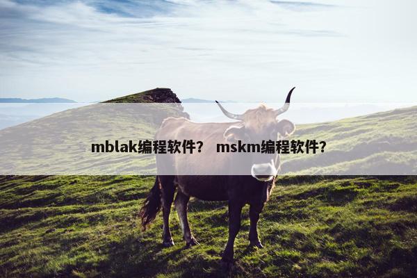 mblak编程软件？ mskm编程软件？