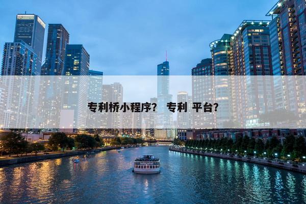 专利桥小程序？ 专利 平台？