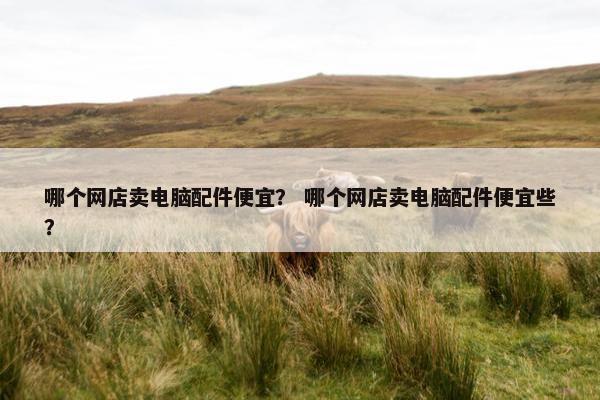 哪个网店卖电脑配件便宜？ 哪个网店卖电脑配件便宜些？