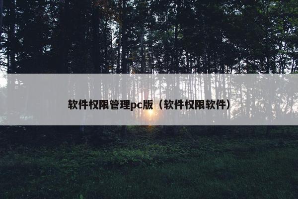 软件权限管理pc版（软件权限软件）