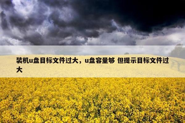 装机u盘目标文件过大，u盘容量够 但提示目标文件过大