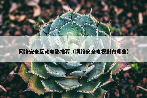 网络安全互动电影推荐（网络安全电视剧有哪些）