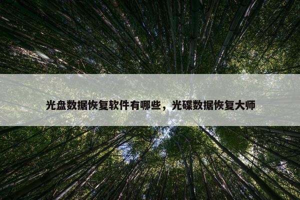 光盘数据恢复软件有哪些，光碟数据恢复大师