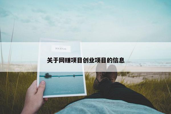 关于网赚项目创业项目的信息