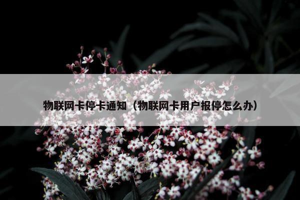 物联网卡停卡通知（物联网卡用户报停怎么办）