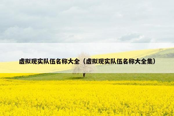 虚拟现实队伍名称大全（虚拟现实队伍名称大全集）