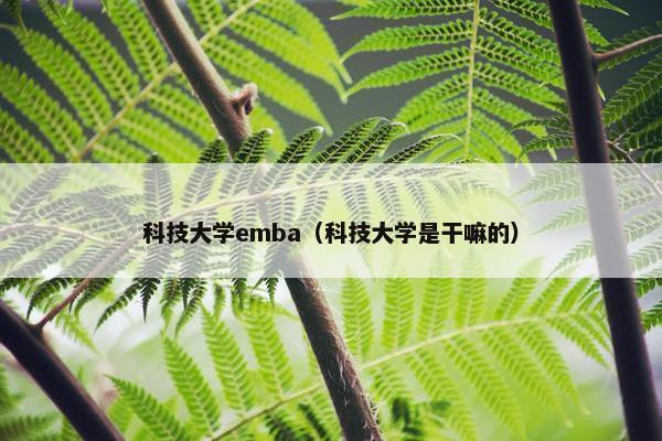 科技大学emba（科技大学是干嘛的）