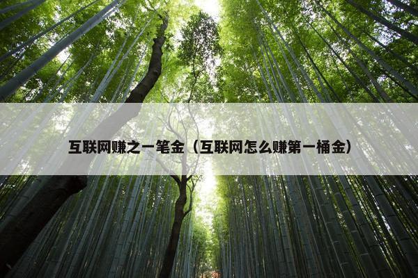 互联网赚之一笔金（互联网怎么赚第一桶金）