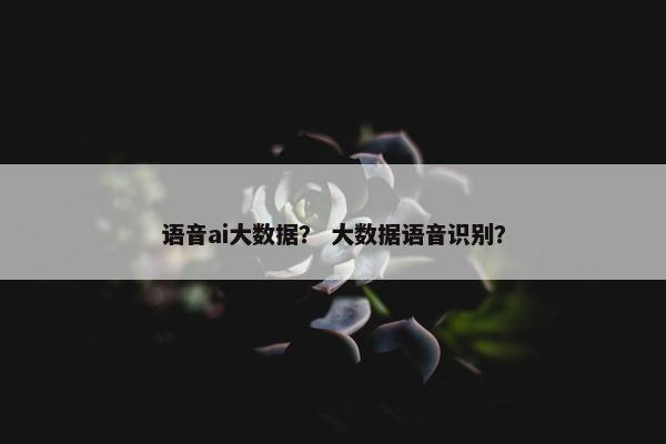 语音ai大数据？ 大数据语音识别？