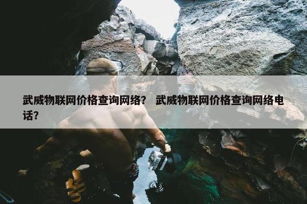 武威物联网价格查询网络？ 武威物联网价格查询网络电话？