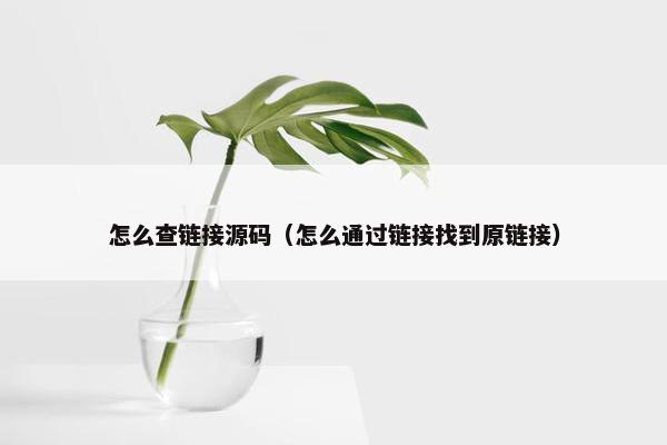 怎么查链接源码(怎么通过链接找到原链接) 怎么查链接源码(怎么通过链接找到原链接)