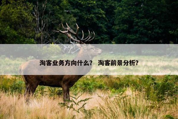 淘客业务方向什么? 淘客前景分析? 淘客业务方向什么? 淘客前景分析?