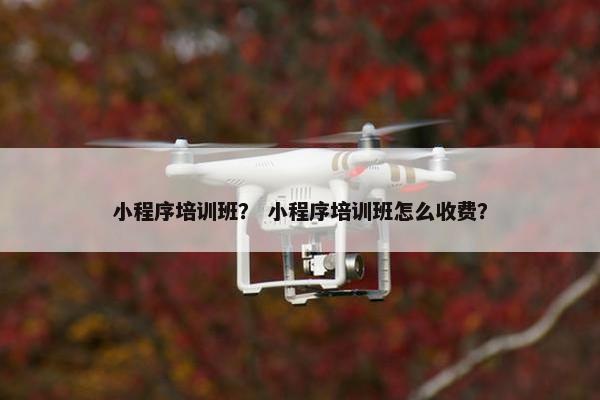 小程序培训班？ 小程序培训班怎么收费？