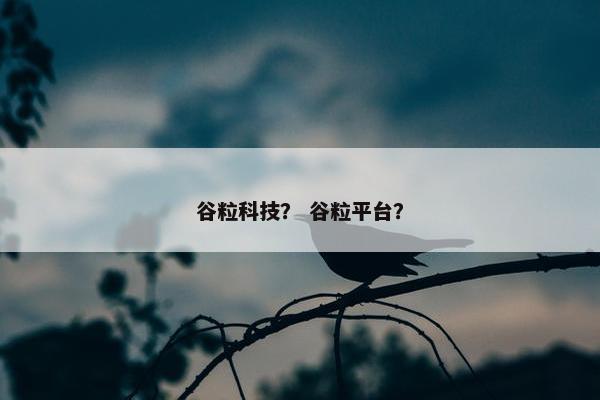 谷粒科技? 谷粒平台? 谷粒科技? 谷粒平台?