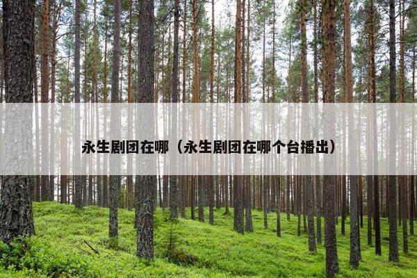 永生剧团在哪（永生剧团在哪个台播出）