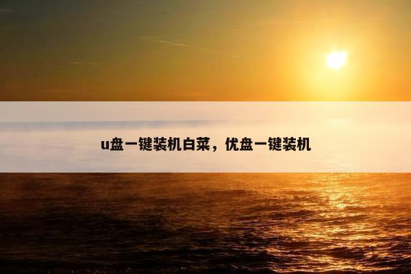 u盘一键装机白菜，优盘一键装机