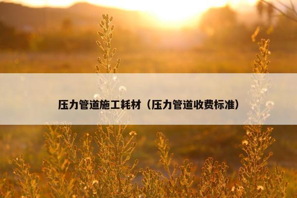 压力管道施工耗材（压力管道收费标准）