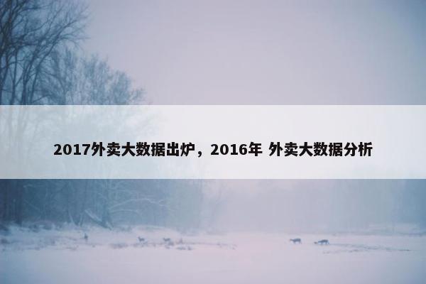 2017外卖大数据出炉，2016年 外卖大数据分析