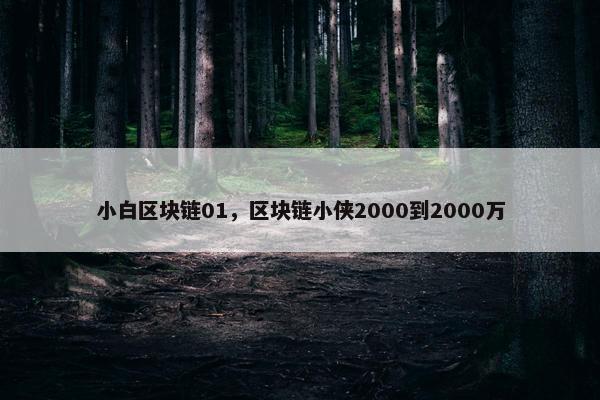 小白区块链01，区块链小侠2000到2000万