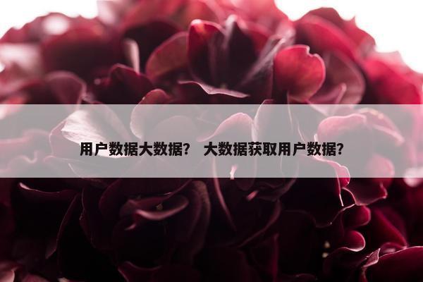 用户数据大数据？ 大数据获取用户数据？