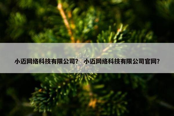 小迈网络科技有限公司？ 小迈网络科技有限公司官网？