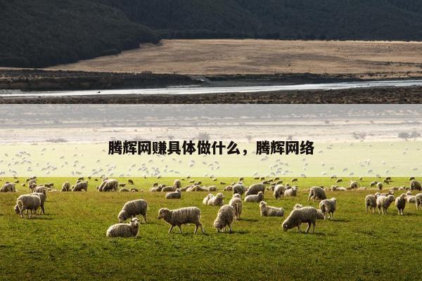 腾辉网赚具体做什么，腾辉网络